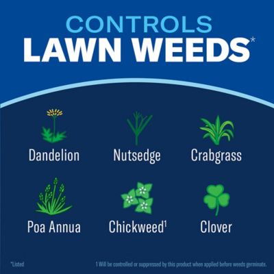 Image showing  Season Long Lawn Weed Killer Concentrate