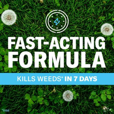 Image showing  Season Long Lawn Weed Killer Concentrate