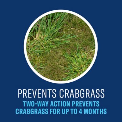 Image showing  Season Long Lawn Weed Killer Concentrate