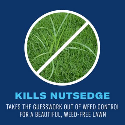 Image showing  Season Long Lawn Weed Killer Concentrate