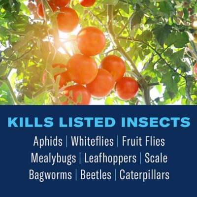 Image showing  Organic Neem Oil Ready-to-Use