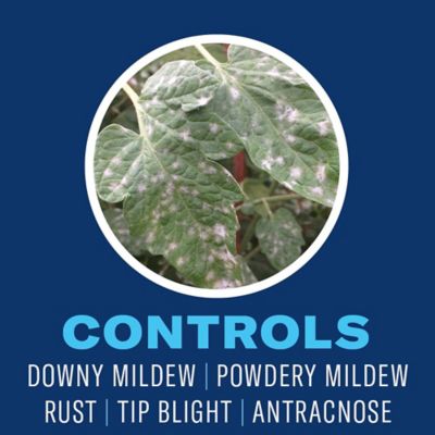 Image showing  Organic Neem Oil Ready-to-Use