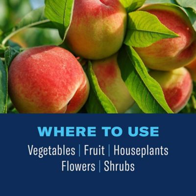 Image showing  Organic Neem Oil Ready-to-Use