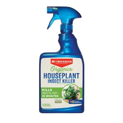 BioAdvanced Organic House Plant Insect Killer Ready-to-Use