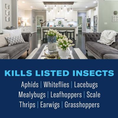Image showing 1 th BioAdvanced Organic House Plant Insect Killer Ready-to-Use