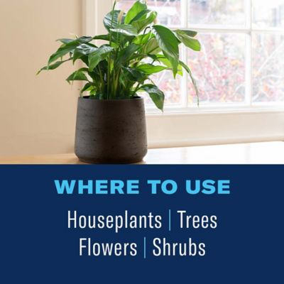 Image showing 4 th BioAdvanced Organic House Plant Insect Killer Ready-to-Use