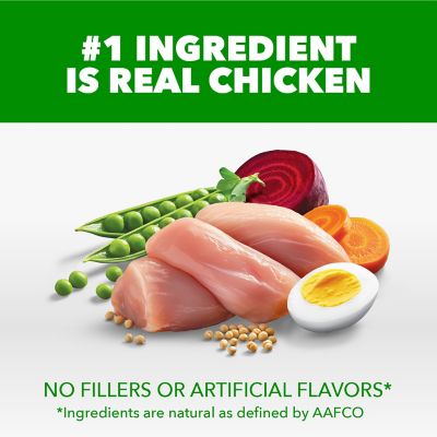 Image showing  ProActive Health MiniChunks Adult Chicken and Whole Grain Recipe Dry Dog Food