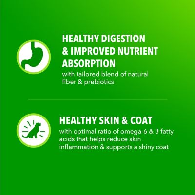 Image showing 6 th Iams ProActive Health MiniChunks Adult Chicken and Whole Grain Recipe Dry Dog Food