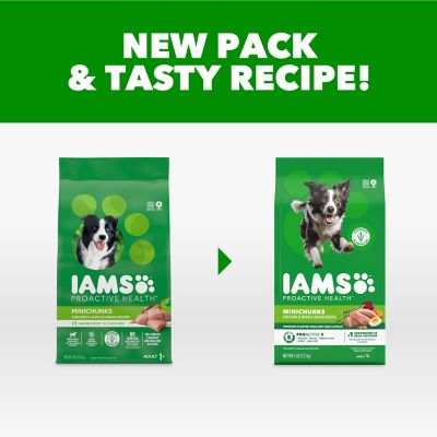 Image showing 7 th Iams ProActive Health MiniChunks Adult Chicken and Whole Grain Recipe Dry Dog Food