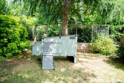 Image showing  Lean-To Easy Clean Chicken Coop and Run 10 Chicken Capacity