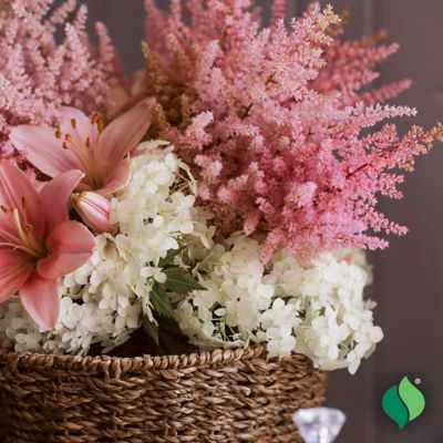 Image showing  Pink Astilbe 1 pk.