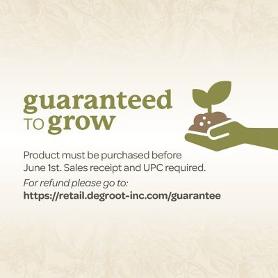 Image showing 8 th DeGroot Pink Peony, 1 pk.