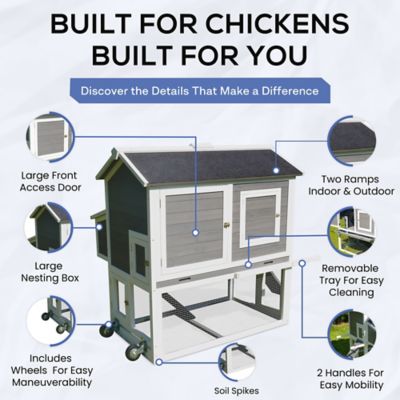 Image showing  Bunkie Chicken Coop