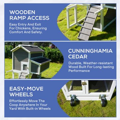 Image showing  Bunkie Chicken Coop