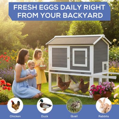 Image showing 5 th Zoovilla Bunkie Chicken Coop