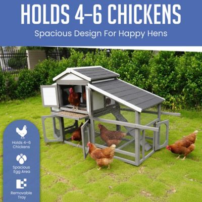 Image showing  Extended Country Style Chicken Coop