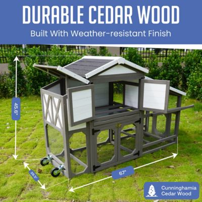 Image showing  Extended Country Style Chicken Coop