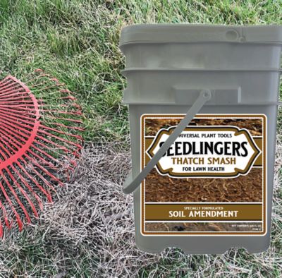 Image showing  Thatch Smash Turf Food 25 lb. Granular