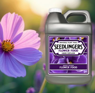 Image showing  Flower Food 2.5 Gallon Concentrate