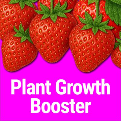 Image showing  Super Yield Flower & Garden All Purpose Plant Food 16 oz. Concentrate