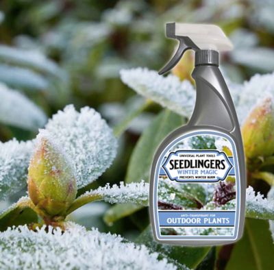 Image showing  Winter Magic 32 oz. Trigger Bottle