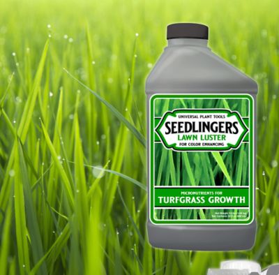 Image showing  Lawn Luster Lawn Food Quart Concentrate