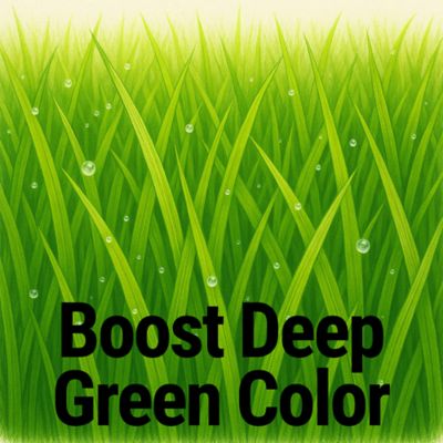 Image showing  Lawn Luster Lawn Food Quart Concentrate