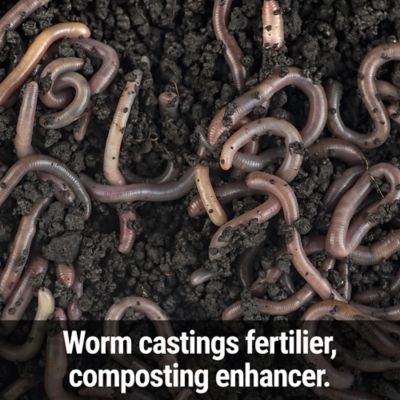 Image showing  Worm Magic Worm Castings 2.5 lb. Granular