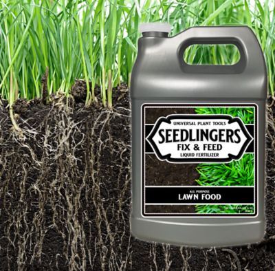 Image showing  Fix & Feed Lawn Food Gallon Concentrate