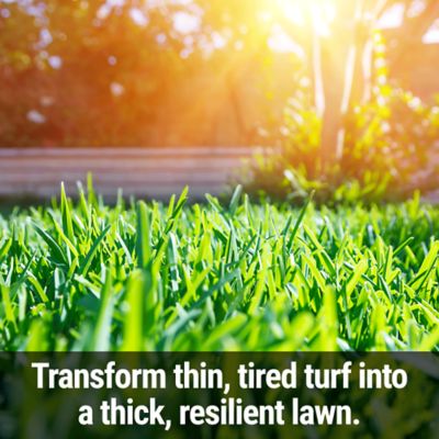 Image showing  Fix & Feed Lawn Food Gallon Concentrate