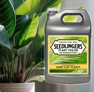 Image showing  Plant Polish Gallon Concentrate