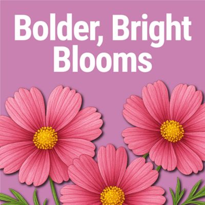 Image showing  Mix & Feed All Purpose Plant Food 2.5 Gallon Concentrate