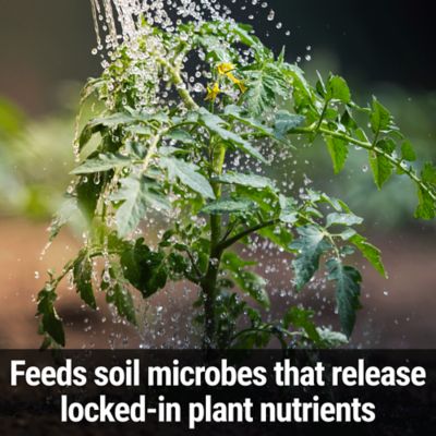 Image showing  Mix & Feed All Purpose Plant Food 2.5 Gallon Concentrate