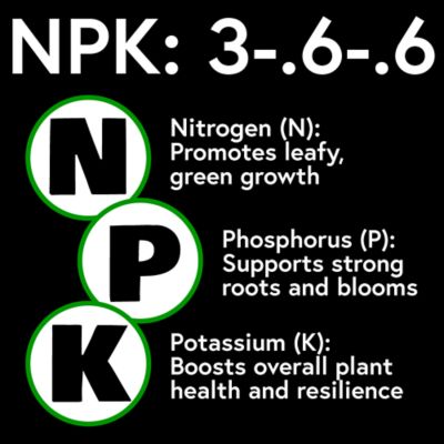Image showing  Mix & Feed All Purpose Plant Food 2.5 Gallon Concentrate