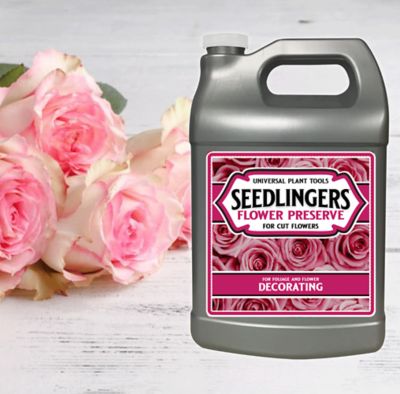 Image showing  Flower Preserve Gallon Concentrate Bottle