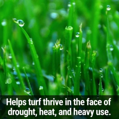 Image showing  H20 Hold Turf Food 40 lb. Granular