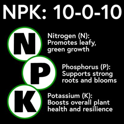 Image showing  H20 Hold Turf Food 40 lb. Granular
