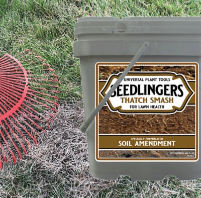 Image showing  Thatch Smash Turf Food 10 lb. Granular