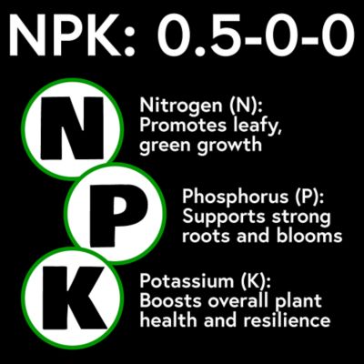 Image showing  Thatch Smash Turf Food 10 lb. Granular