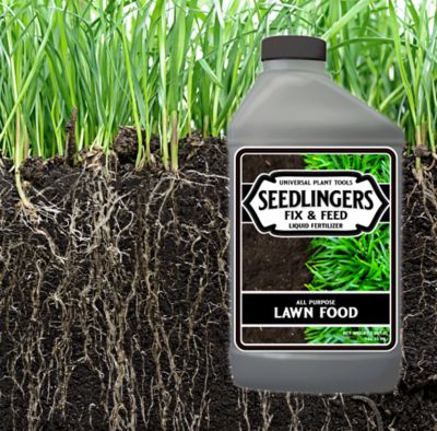 Image showing  Fix & Feed Lawn Food Quart Concentrate