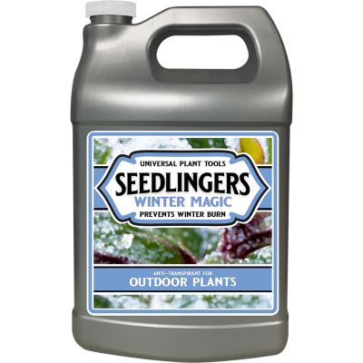 Seedlingers Winter Magic 2.5 Gallon Concentrate
