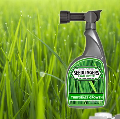 Image showing  Lawn Luster Lawn Food Ready To Spray Hose End