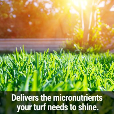 Image showing  Lawn Luster Lawn Food Ready To Spray Hose End