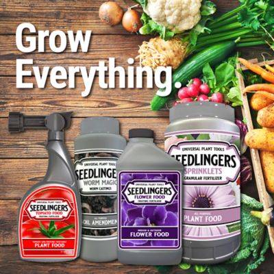 Image showing 5 th Seedlingers Lawn Luster Lawn Food Ready To Spray Hose End