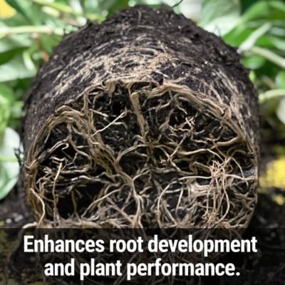 Image showing  Root Boost Gallon Concentrate