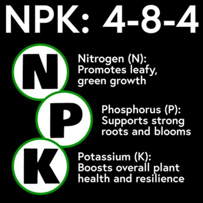 Image showing  Root Boost Gallon Concentrate