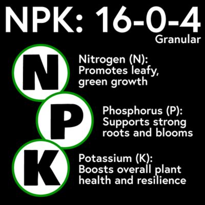 Image showing  Fix & Feed Lawn Food 10 lb. Granular