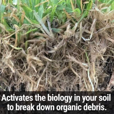 Image showing  Thatch Smash Turf Food 40 lb. Granular