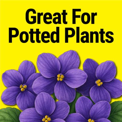 Image showing  Pour & Grow All Purpose Plant Food 2.5 Gallon