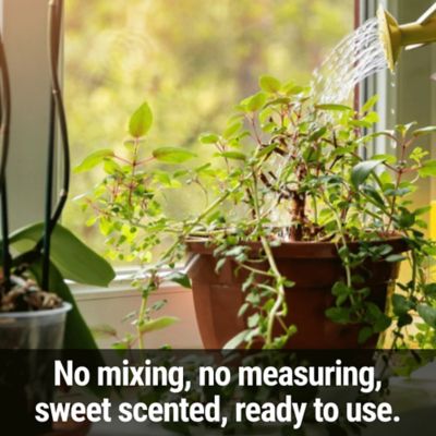 Image showing  Pour & Grow All Purpose Plant Food 2.5 Gallon